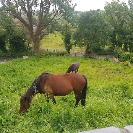 Hogan's Дом отдыха *